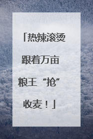 热辣滚烫 跟着万亩粮王“抢”收麦！
