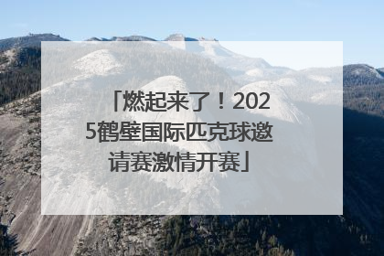燃起来了！2025鹤壁国际匹克球邀请赛激情开赛