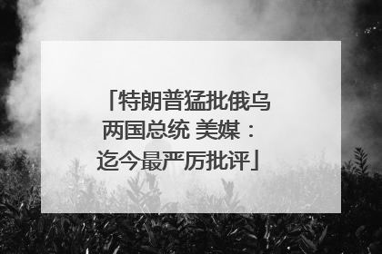 特朗普猛批俄乌两国总统 美媒：迄今最严厉批评