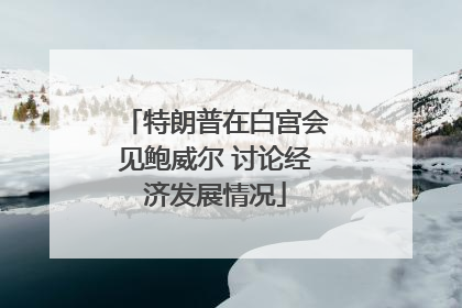 特朗普在白宫会见鲍威尔 讨论经济发展情况
