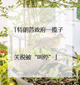 特朗普政府一揽子关税被“叫停”