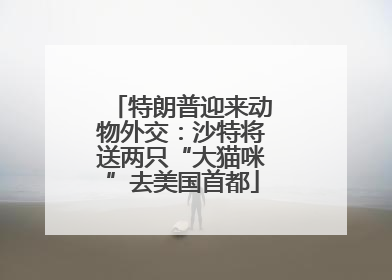 特朗普迎来动物外交：沙特将送两只“大猫咪”去美国首都
