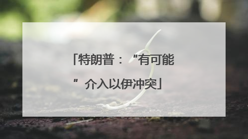 特朗普：“有可能”介入以伊冲突