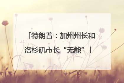 特朗普：加州州长和洛杉矶市长“无能”