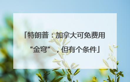 特朗普：加拿大可免费用“金穹”，但有个条件