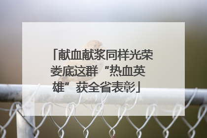 献血献浆同样光荣 娄底这群“热血英雄”获全省表彰