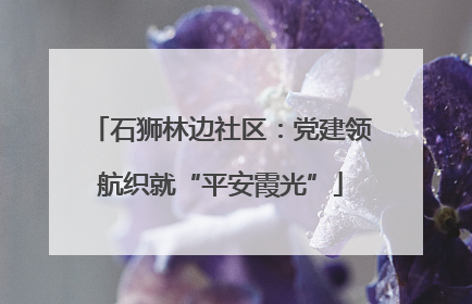石狮林边社区：党建领航织就“平安霞光”