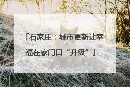 石家庄：城市更新让幸福在家门口“升级”