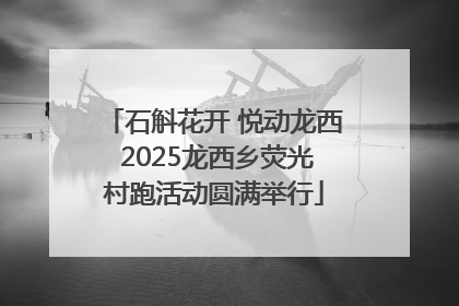 石斛花开 悦动龙西 2025龙西乡荧光村跑活动圆满举行