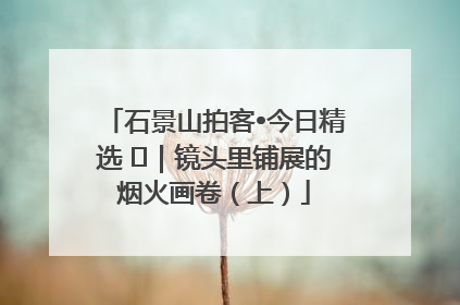 石景山拍客•今日精选 ㉓｜镜头里铺展的烟火画卷（上）