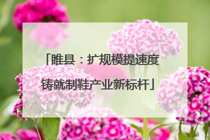 睢县：扩规模提速度 铸就制鞋产业新标杆