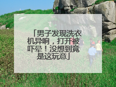 男子发现洗衣机异响，打开被吓晕！没想到竟是这玩意