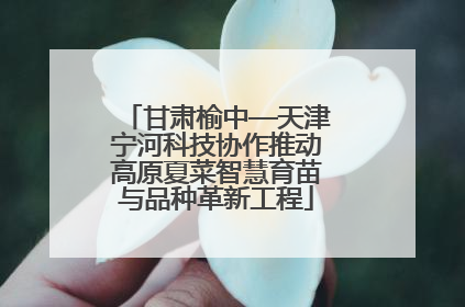 甘肃榆中—天津宁河科技协作推动高原夏菜智慧育苗与品种革新工程