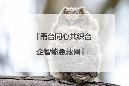 甬台同心共织台企智能急救网
