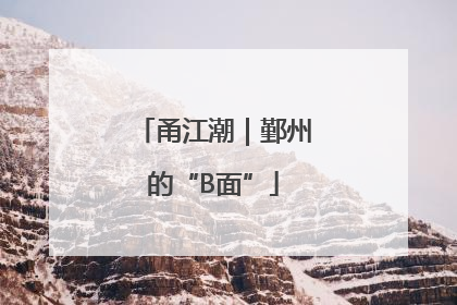 甬江潮｜鄞州的“B面”