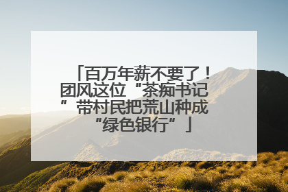 百万年薪不要了！团风这位“茶痴书记”带村民把荒山种成“绿色银行”