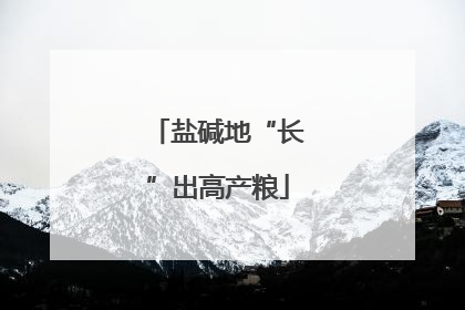 盐碱地“长”出高产粮