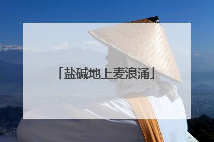 盐碱地上麦浪涌