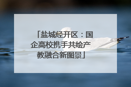 盐城经开区：国企高校携手共绘产教融合新图景