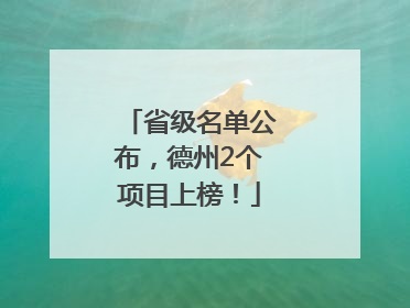 省级名单公布，德州2个项目上榜！