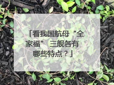 看我国航母“全家福” 三舰各有哪些特点？