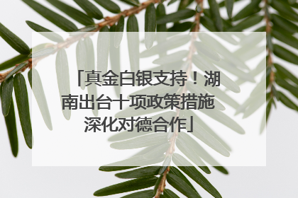 真金白银支持！湖南出台十项政策措施深化对德合作