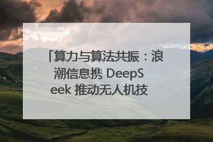 算力与算法共振：浪潮信息携 DeepSeek 推动无人机技术在舟山落地