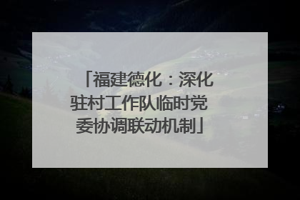 福建德化：深化驻村工作队临时党委协调联动机制