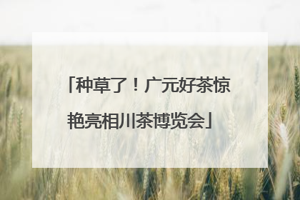 种草了！广元好茶惊艳亮相川茶博览会