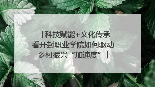 科技赋能+文化传承 看开封职业学院如何驱动乡村振兴“加速度”