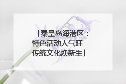 秦皇岛海港区：特色活动人气旺 传统文化焕新生