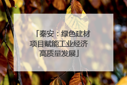 秦安：绿色建材项目赋能工业经济高质量发展