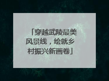 穿越武陵最美风景线，绘就乡村振兴新画卷