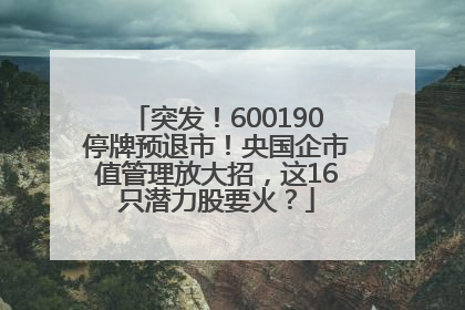 突发！600190停牌预退市！央国企市值管理放大招，这16只潜力股要火？