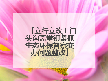 立行立改！门头沟斋堂镇紧抓生态环保督察交办问题整改