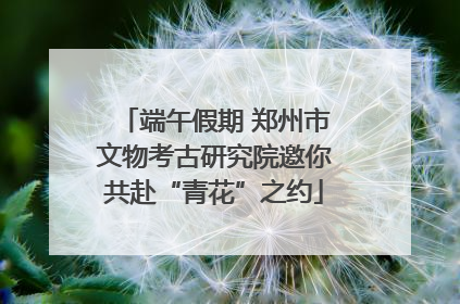 端午假期 郑州市文物考古研究院邀你共赴“青花”之约