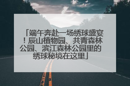 端午奔赴一场绣球盛宴！辰山植物园、共青森林公园、滨江森林公园里的绣球秘境在这里