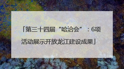第三十四届“哈洽会”：6项活动展示开放龙江建设成果