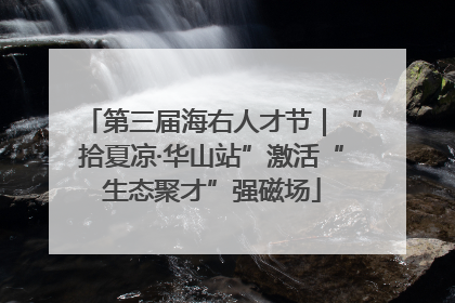 第三届海右人才节｜“拾夏凉·华山站”激活“生态聚才”强磁场