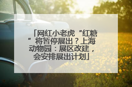 网红小老虎“红糖”将暂停展出？上海动物园：展区改建，会安排展出计划