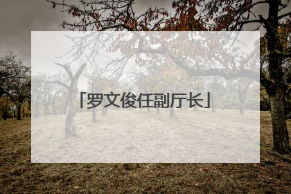 罗文俊任副厅长