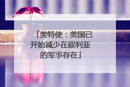 美特使：美国已开始减少在叙利亚的军事存在