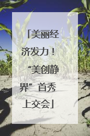 美丽经济发力！“美创静界”首秀上交会
