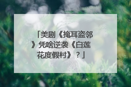 美剧《掩耳盗邻》凭啥逆袭《白莲花度假村》？