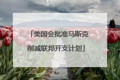 美国会批准马斯克削减联邦开支计划