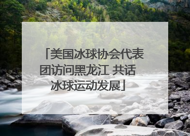 美国冰球协会代表团访问黑龙江 共话冰球运动发展