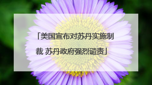 美国宣布对苏丹实施制裁 苏丹政府强烈谴责