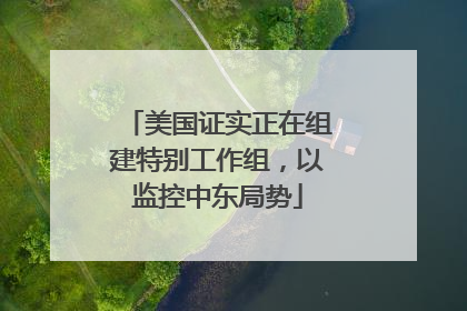 美国证实正在组建特别工作组，以监控中东局势