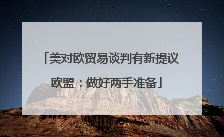 美对欧贸易谈判有新提议 欧盟：做好两手准备