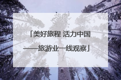 美好旅程 活力中国——旅游业一线观察